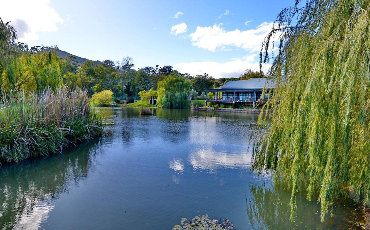 Ladybird Lodge Стелленбос Екстер'єр фото